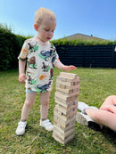 Klodsmajor balancespil - 60 klodser - Fra 6 år