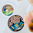 STAEDTLER - Noris Junior Farveblyanter - 36 stk