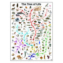 Plakat: The Tree of Life - Str. 60x90 cm. - Billede 1