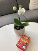 Bubble Stories - Årets Børnespil 2022 - fra 4 år