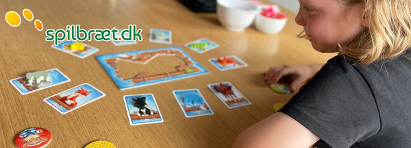 Zoobaloo spilanmeldelse