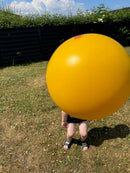 Soft Play Volleyball, Ø: 22 cm - 1 stk.