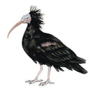 Spil, Fauna familiespil - Billede 1