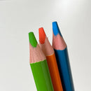 Albert Farveblyanter - Æske med 144 stk - 12 ass farver.