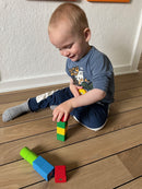 BRIO 30435 - Magnetiske træklodser - 10 stk