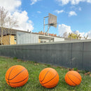 Basketball  Str. 5 - Ø: 21 cm