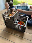 Foldekasse MILAS Small Grå - 1 stk.