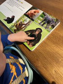 Bog - Lyt, rør og føl: Vilde dyr - Fra 1 år