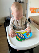 Pegebog i kraftig pap - 1 stk. ass.