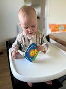 Pegebog i kraftig pap - 1 stk. ass.