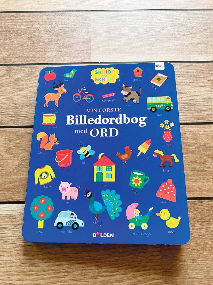 Min første STORE billedordbog med ORD