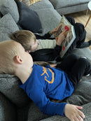 Bog - De (ikke så) slemme dyr