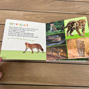 Bog - Lyt, rør og føl I junglen - Fra 1 år