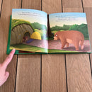 Bog - Bjørn er bekymret - Fra 3 år