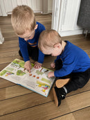 Bog - Laura og årstiderne - Flapbog