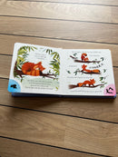 Bog - Stræk - Yogahistorie med simple øvelser