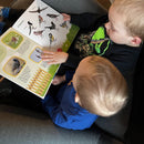 Bog - Min store bog med fuglelyde - 40 lyde