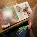 Bog - Min verden i billeder: Vilde dyr