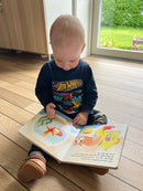 Bog - Lyt, rør og føl: Følg lille killing