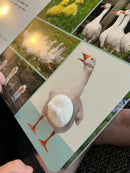 Bog - Lyt, rør og føl: På marken - Fra 1 år