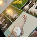 Bog - Lyt, rør og føl: På marken - Fra 1 år