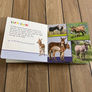 Bog - Lyt, rør og føl: På marken - Fra 1 år