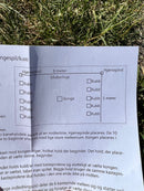 Vikingespil / Kongespil / KUBB havespil - træ - Fra 6 år