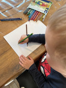 STAEDTLER - Noris Farveblyanter - 24 stk