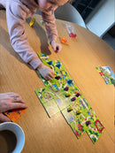 Carcassonne Junior - Årets børnespil 2009 i Frankrig