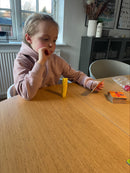 Carcassonne Junior - Årets børnespil 2009 i Frankrig