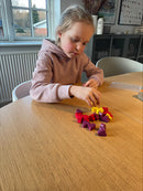 Carcassonne Junior - Årets børnespil 2009 i Frankrig