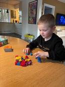 Carcassonne Junior - Årets børnespil 2009 i Frankrig