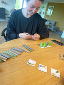 Cloud City familiespil - Logis - Fra 10 år