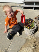 Dantoy Sandsæt med 100 dele - Svanemærket