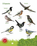 Bog - Min store bog med fuglelyde - 40 lyde