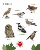 Bog - Min store bog med fuglelyde - 40 lyde
