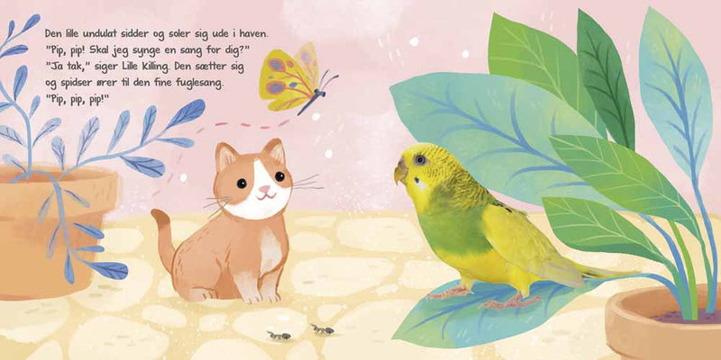 Bog - Lyt, rør og føl: Følg lille killing - Fra 1 år