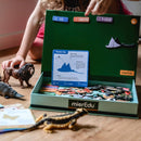 mierEdu - Magnetisk legesæt - Lær om dyreriget - Fra 4 år