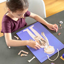 mierEdu - Magnetisk legesæt - Lær om kroppen - Fra 5 år