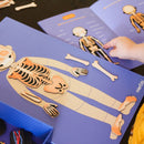 mierEdu - Magnetisk legesæt - Lær om kroppen - Fra 5 år