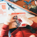 mierEdu - Magnetisk legesæt - Lær om dinosaurer - Fra 5 år