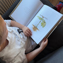 Det begynder med et frø - Børnebog