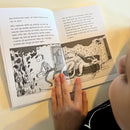 Bog - Dragepasseren (1) - Fra 6 år