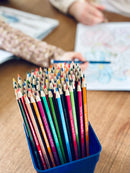 STAEDTLER - Noris Farveblyanter - 144 stk