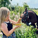 Striglesæt til kæpheste - 7 dele - byAstrup - Fra 3 år