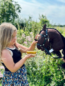 Striglesæt til kæpheste - 7 dele - byAstrup - Fra 3 år