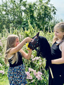 Striglesæt til kæpheste - 7 dele - byAstrup - Fra 3 år
