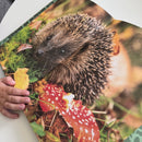 Jeg elsker DYR - Børnebog