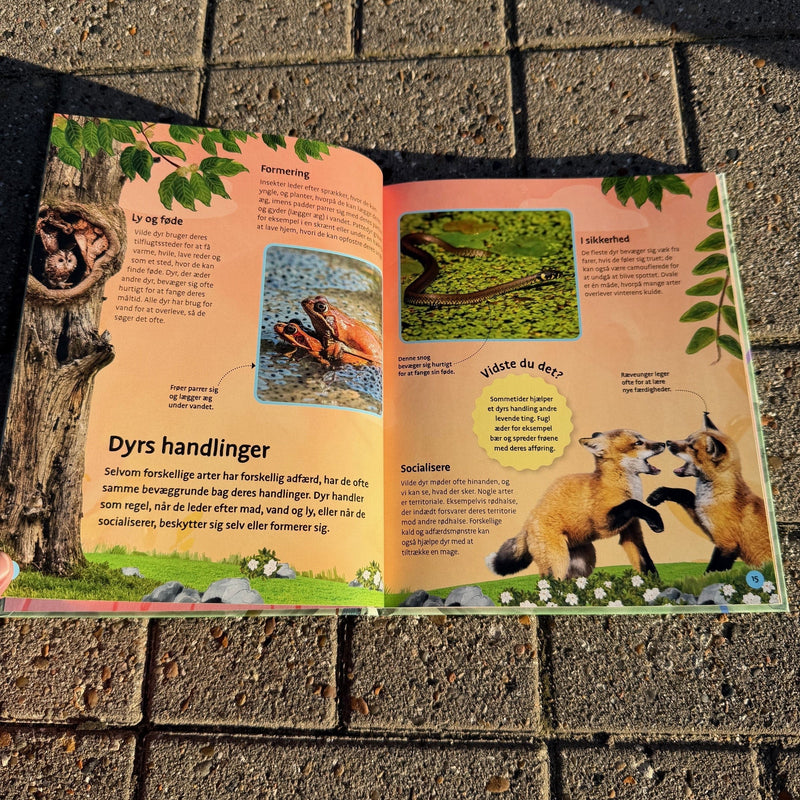 Kig på naturen - Børnebog