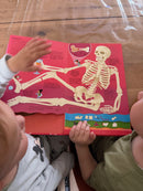 Kom med ind i Kroppen - Børnebog